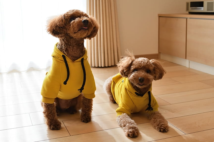 その他のリフォーム