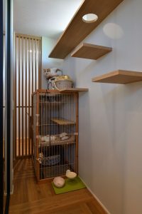 Cat Room & Cat Walk