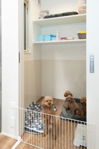 Dog Space