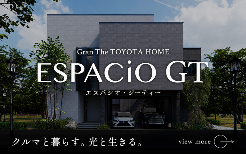 ESPACIO GT