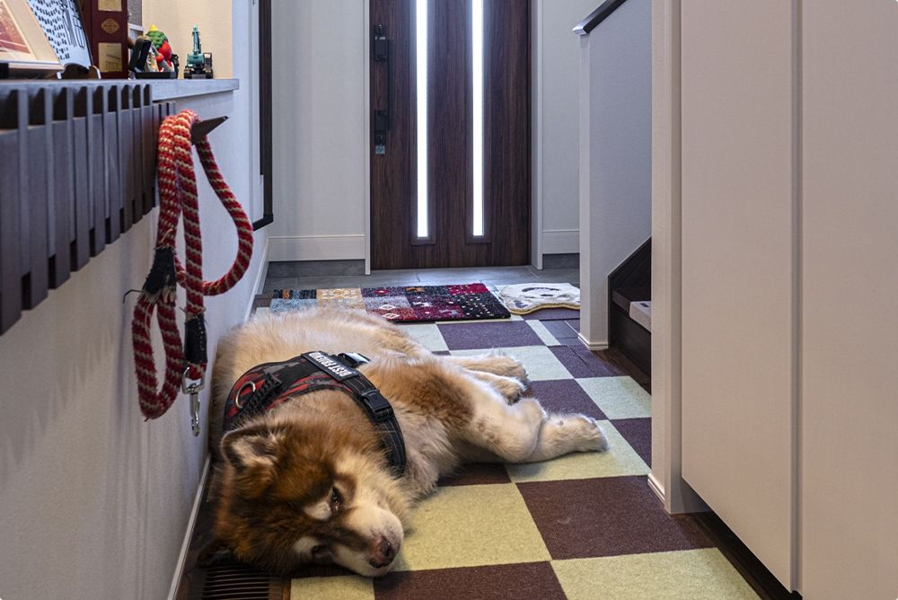 家づくりのきっかけ